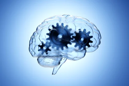 gears_in_transparent_brain